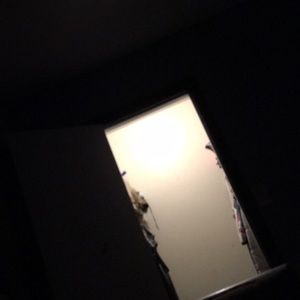 Meet your Posher, Delma